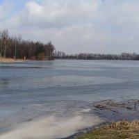 Maraton Karpiowy